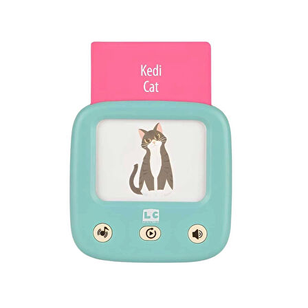 Öğretici Türkçe İngilizce Konuşan Flash Kartlar 31050