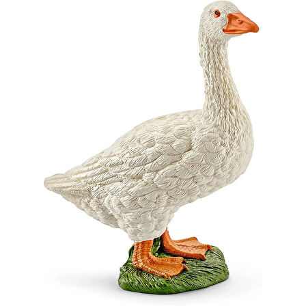 Schleich FW Hayvanları 5 li Hayvan Figür Seti