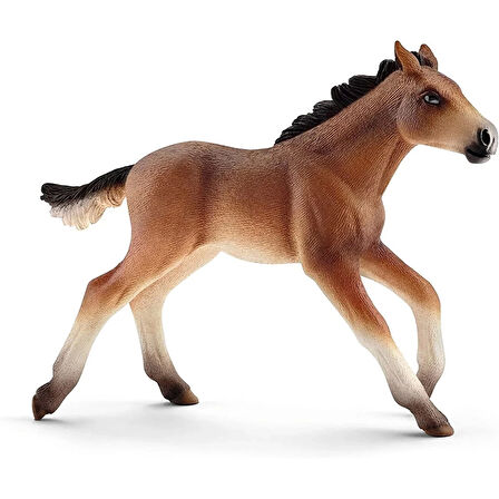 Schleich FW Hayvanları 5 li Hayvan Figür Seti