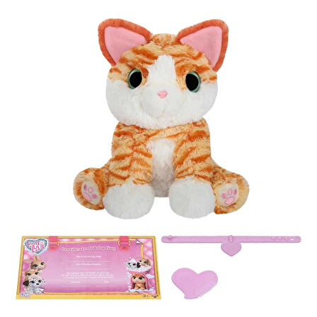 Scruff A Luvs Klasik Seri Sürpriz Kutu - 1 ADET