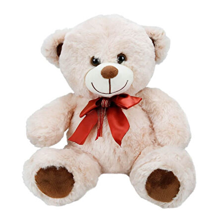 Sevimli Peluş Ayı 30 cm