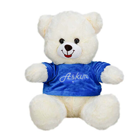 Sunman T-Shirtlü Oturan Peluş Ayı - 38 CM
