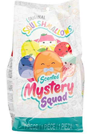 1 ADET Sürpriz Kokulu Squishmallows Mystery Squad Meyve Temalı Sürpriz Paket - 1 ADET - 20 CM