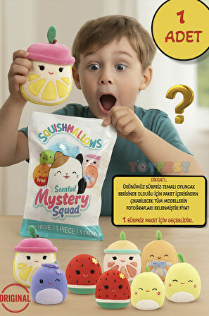 1 ADET Sürpriz Kokulu Squishmallows Mystery Squad Meyve Temalı Sürpriz Paket - 1 ADET - 13 CM