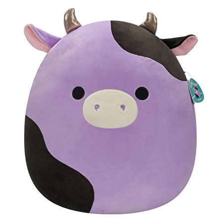 Squishmallows Jumbo Boy 62 cm Seri 21- 1 ADET