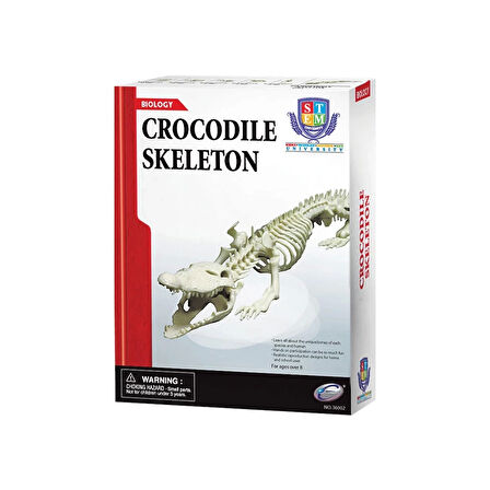 Timsah İskeleti Bilim Seti