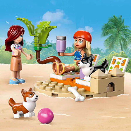 LEGO Friends Sörfçü Köpekler ve Scooter Macerası 42641