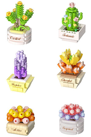 KOCO Saksı Çiçekleri Sukulent Serisi 3D Puzzle Koleksiyon Tam Set - 12 ADET