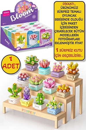 Sürpriz Saksı Çiçekleri Sukulent Serisi 3D Puzzle - 1 ADET