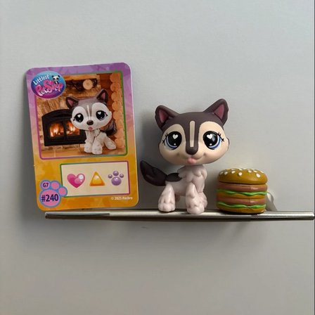 Littlest Pet Shop Seri 4 Tekli Figür Miniş Husky Dog #240 G7 2026 Orijinal Koleksiyonluk Oyuncak LPS