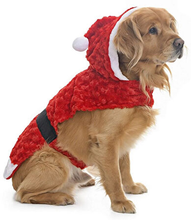 Orta ve Büyük Irk Ceket Klaus