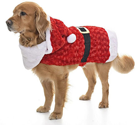 Orta ve Büyük Irk Ceket Klaus