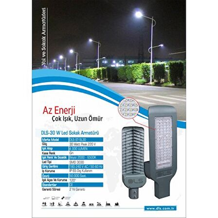 30W Led Yol Sokak Armatür DLS Park Bahçe Çevre Site Bina Dış Mekan Lamba Aydınlatma Ledli Sokak Armatürü