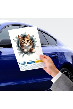2 Adet Kedi Tasarımlı Araç Stickerı – Kırık Cam Efektli Cam Sticker, Araç Etiketi, Car Decal, 10X10 CM Model Karışık