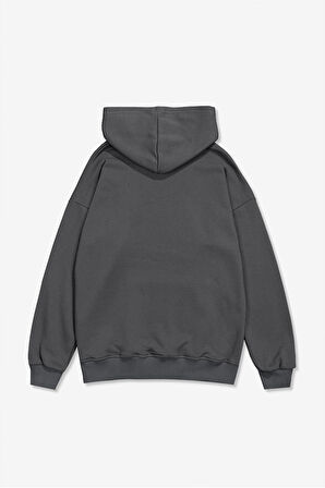 Pullover Basic Erkek Hoodie PL1752GR