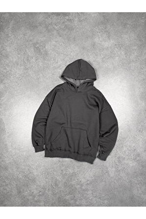 Pullover Basic Erkek Hoodie PL1752GR