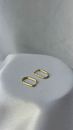 Parlak Ataç Model Altın Küpe