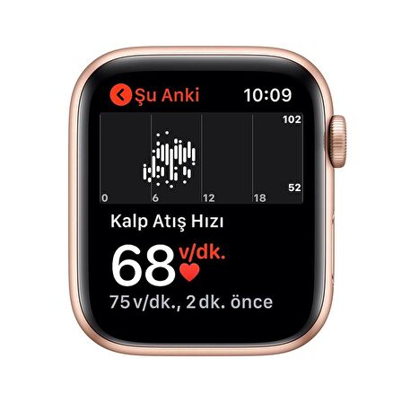 Apple Watch SE (1.Nesil) (44mm GPS) Alüminyum Kasa Altın - Yenilio Yenilisi - A Kalite - MYDR2TU/A