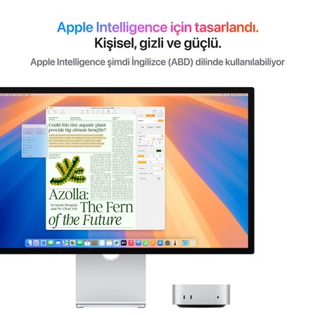 Mac mini (2024) Apple M4 10 CPU 10 GPU 16 GB Ram 256 GB SSD Gümüş MU9D3TU/A - A Kalite