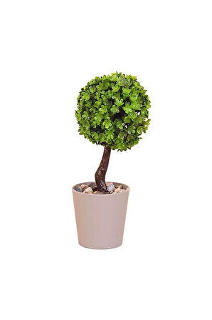 Seçtim Aldım Evadekor Yapay Çiçek Mini Top Ağaç Gri Saksı Plastik