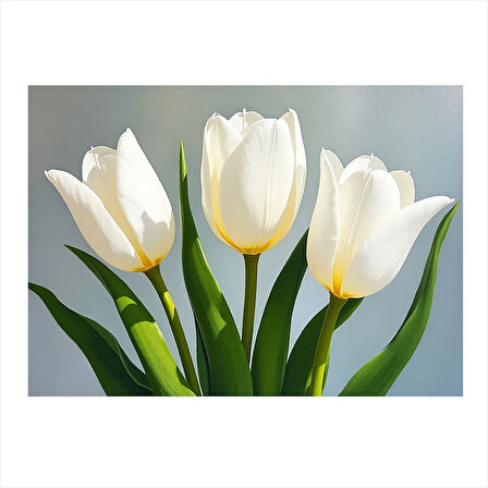 Beyaz Lale Çiçeği Hediyelik Mdf Tablo 25cmX 35cm