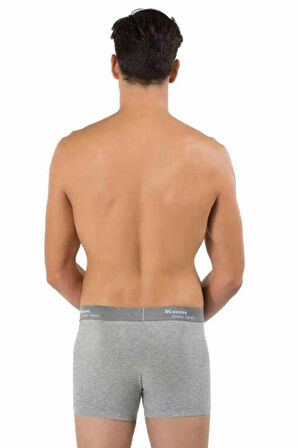 Erkek  Boxer Tight 2li