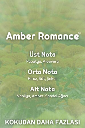 Amber Romantik Yedek Çubuklu Oda Ve Ortam Kokusu Esansı Yedek Dolum Şişe Amber Romantic 250ml