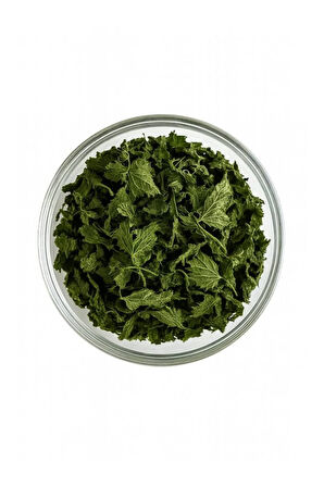 Isırgan Yaprağı Bitkisi Otu Şifalı Bitkiler 18 gr