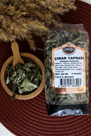 Çınar Yaprağı Bitkisi Otu Şifalı Bitkiler 20 gr