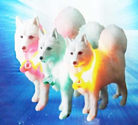 Uravas Store® Mavi Renk Neon Led Işıklı Kedi Köpek Kolyesi (18,5 Cm)