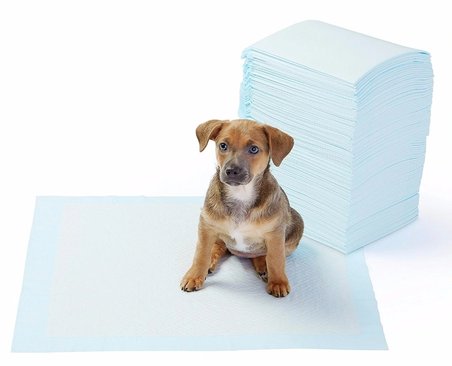 Hediyelik Yıkanabilir Köpek Çiş Pedi - 100 X 100 Cm 5li Paket