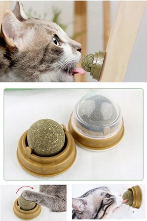Hediyelik Duvara Yapışan Dönen Kedi Nanesi Cat Oyun Topu Doğal Kedi Oyuncağı