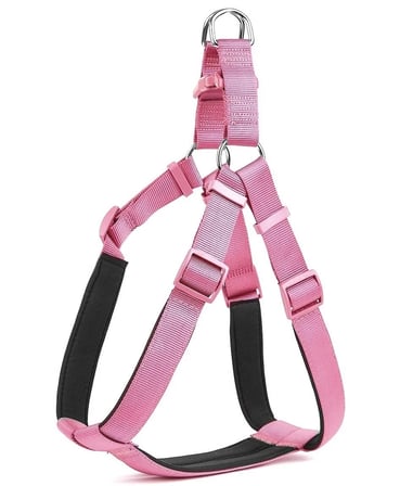 Köpek Göğüs Tasması 45cm Small
