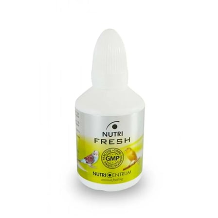 Kanarya İçin  Destek - Fresh