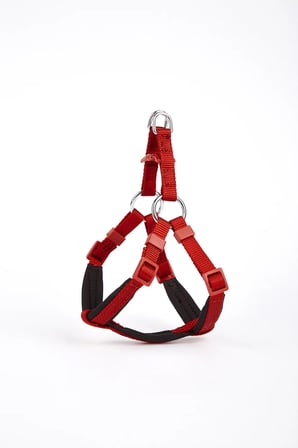 Köpek Göğüs Tasması XXS 30*35 cm Kırmızı