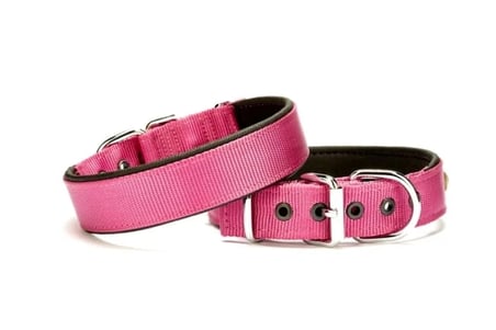 Köpek Tasması Softlu 3 cm x 65 cm Mor
