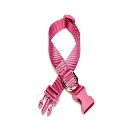 Dokuma Köpek Boyun Tasması 2 cm x 30-45 cm Mor 