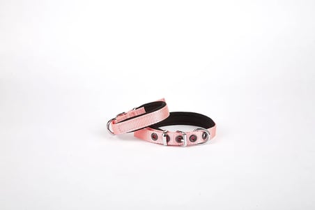 Softlu Köpek Boyun Tasması 1,5 cm x 30 cm Pembe