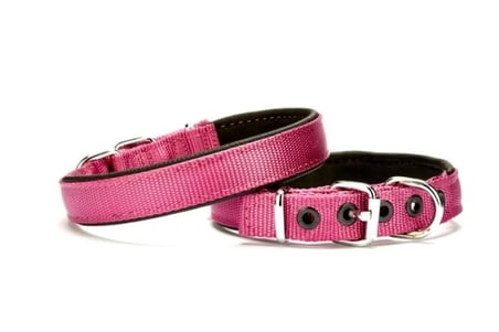 Softlu Köpek Boyun Tasması 2 cm x 40 cm Mor