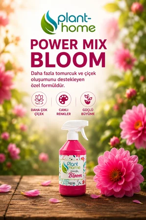 Bitki Bakım Seti 4'LÜ | Keiki Macunu + Köklendirme Jeli + Bloom + Power Mix Bitki Besini / 1 ADET 0.75 LT 12 Pot Üretim Saksısı Hediye