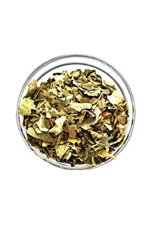 Avakado Yağrağı Otu Bitkisi Şifalı Bitkiler