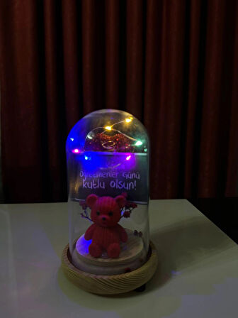 Orta Boy Ayıcıklı Cam Fanus İçerisinde Figürlü Öğretmenler Günü Hediyesi