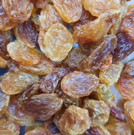 Yeni Harmancı Çekirdeksiz Kuru Üzüm 250 Gr.