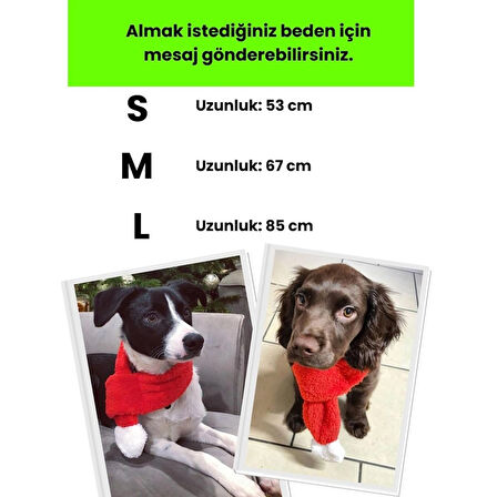 Havhav Yılbaşı Temalı Hediye Köpek Oyuncak Seti