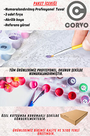 Sayılarla Boyama Seti Numaralı Tuval Fırça Boya Dahil Kasnaklı Set 40x50 Cm - YILDIZLI GECE AYÇİÇEĞİ
