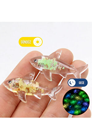 3'lü Karanlıkta Parlayan Şeffaf Köpek Balığı
