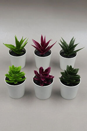 Beyaz Çerçeve & Yapay Mini Saksı Çiçek & Ayıcıklı Happy Birthday Kar Küre Hediye Seti