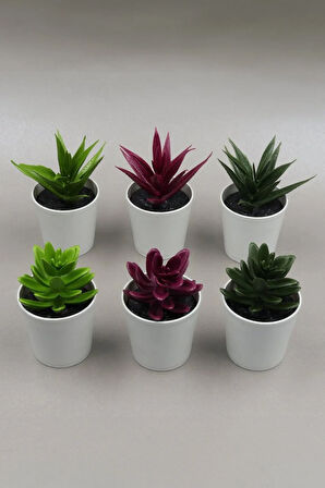 Yeşil Termos & Siyah Çerçeve & Siyah Kupa & Yapay Saksı & Godiva Çikolata Hediye Seti