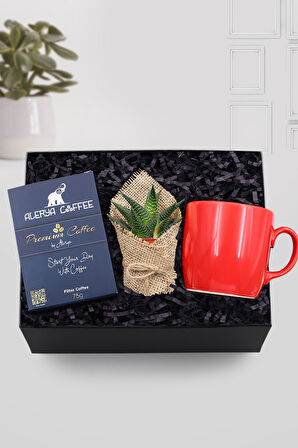 Kırmızı Kupa & Canlı Sukulent Çiçek & Alerya Premium Filtre Kahve Hediye Seti