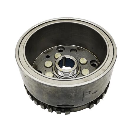 Bajaj Pulsar 200 NS Rotor